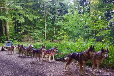 Huskykart Jura-escapades