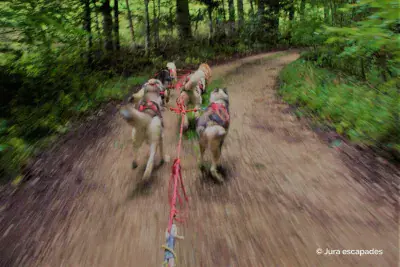 Huskykart Jura-escapades - Photo 2