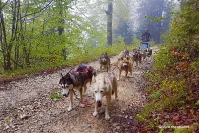 Huskykart Jura-escapades - Photo 3