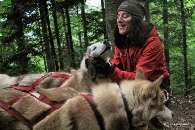 Huskykart Jura-escapades - Photo 5