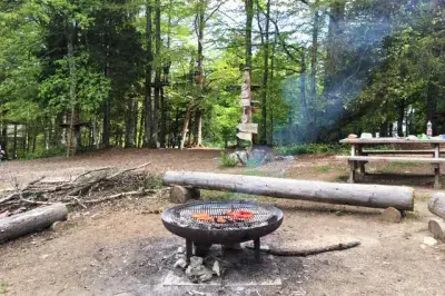 Forest Jump - Photo 5