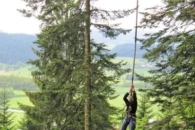 La Forêt de l'Aventure - Photo 3