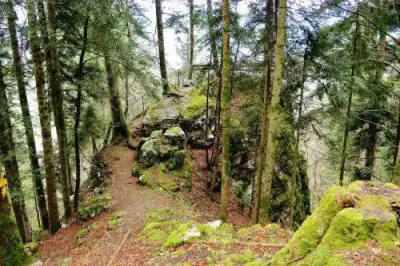 GPS safari - Photo 2