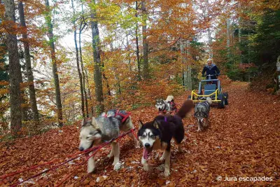 Huskykart Jura-escapades