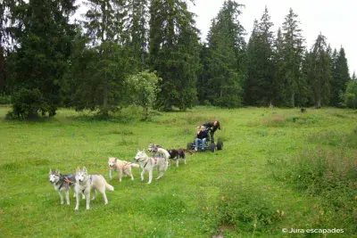 Huskykart Jura-escapades - Photo 3