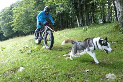 Husky-FatBike avec Vent_du_Nord - Photo 2