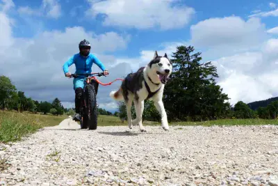 Husky-FatBike avec Vent_du_Nord - Photo 4