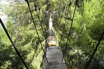 Parcours accrobranche Fun Forest - Photo 2