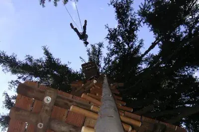 Parcours accrobranche Fun Forest - Photo 5