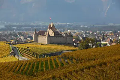 Château d'Aigle - Photo 4