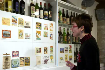 Château d'Aigle - Photo 5