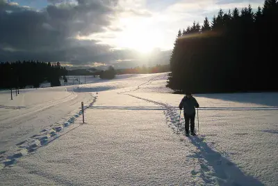 Balades nocturnes accompagnées en raquettes - Photo 1