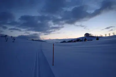 Balades nocturnes accompagnées en raquettes - Photo 3