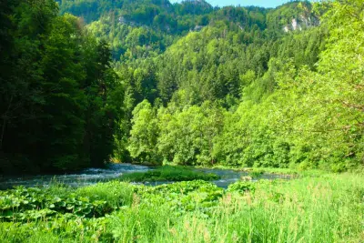 Piscine des Combes - Photo 3
