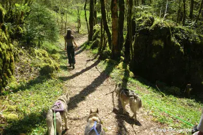 Huskysafari Jura-escapades - Photo 2