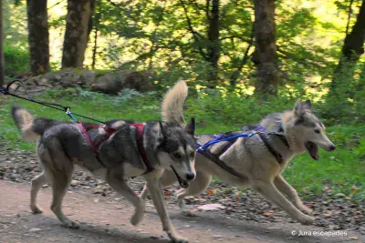 Huskybike Jura-escapades - Photo 1