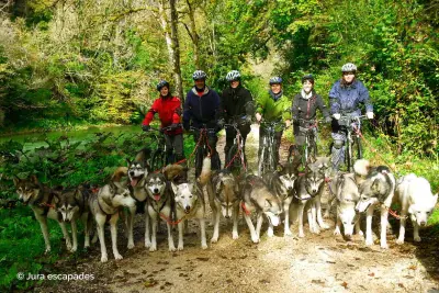 Huskybike Jura-escapades - Photo 2