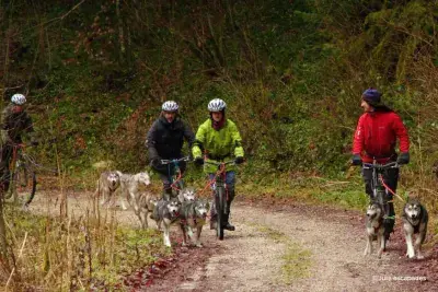 Huskybike Jura-escapades - Photo 4