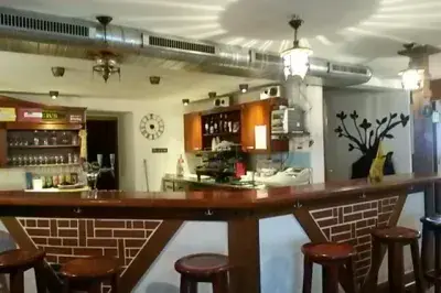 Le Chat Bleu - Photo 4