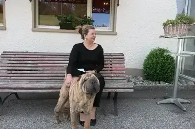 Le Chevreuil - Photo 4