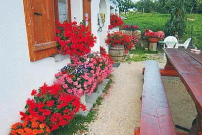 Auberge du Graitery - Photo 4